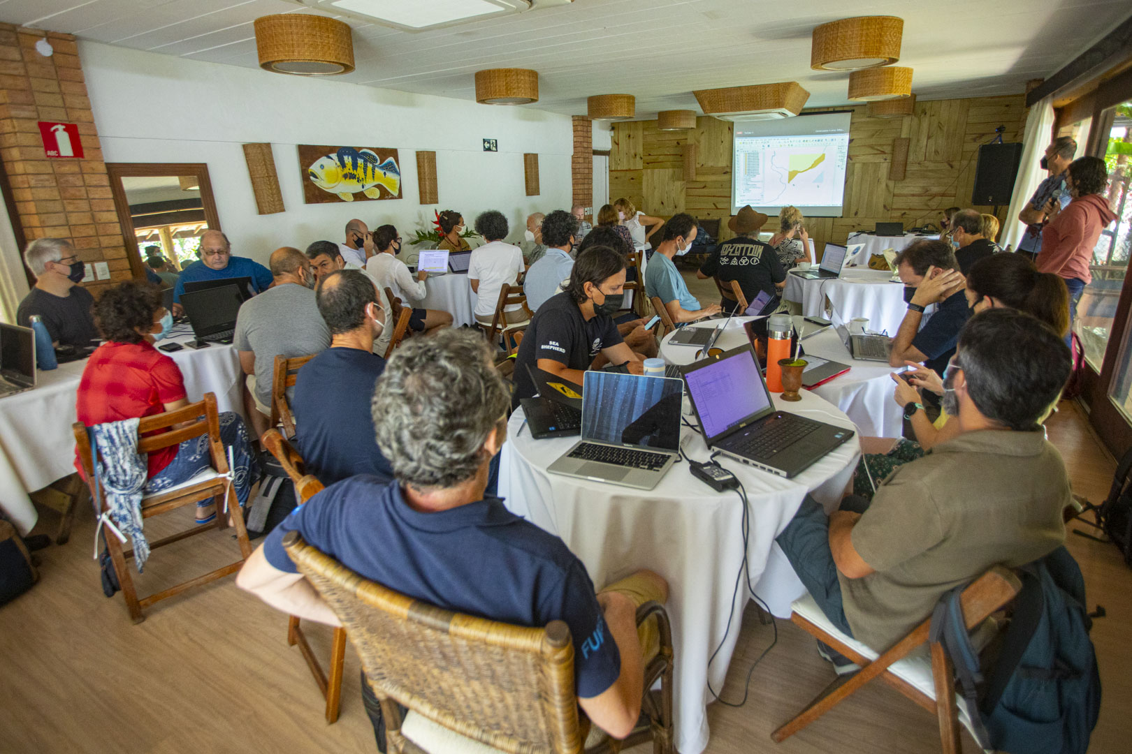 33 mammals workshop