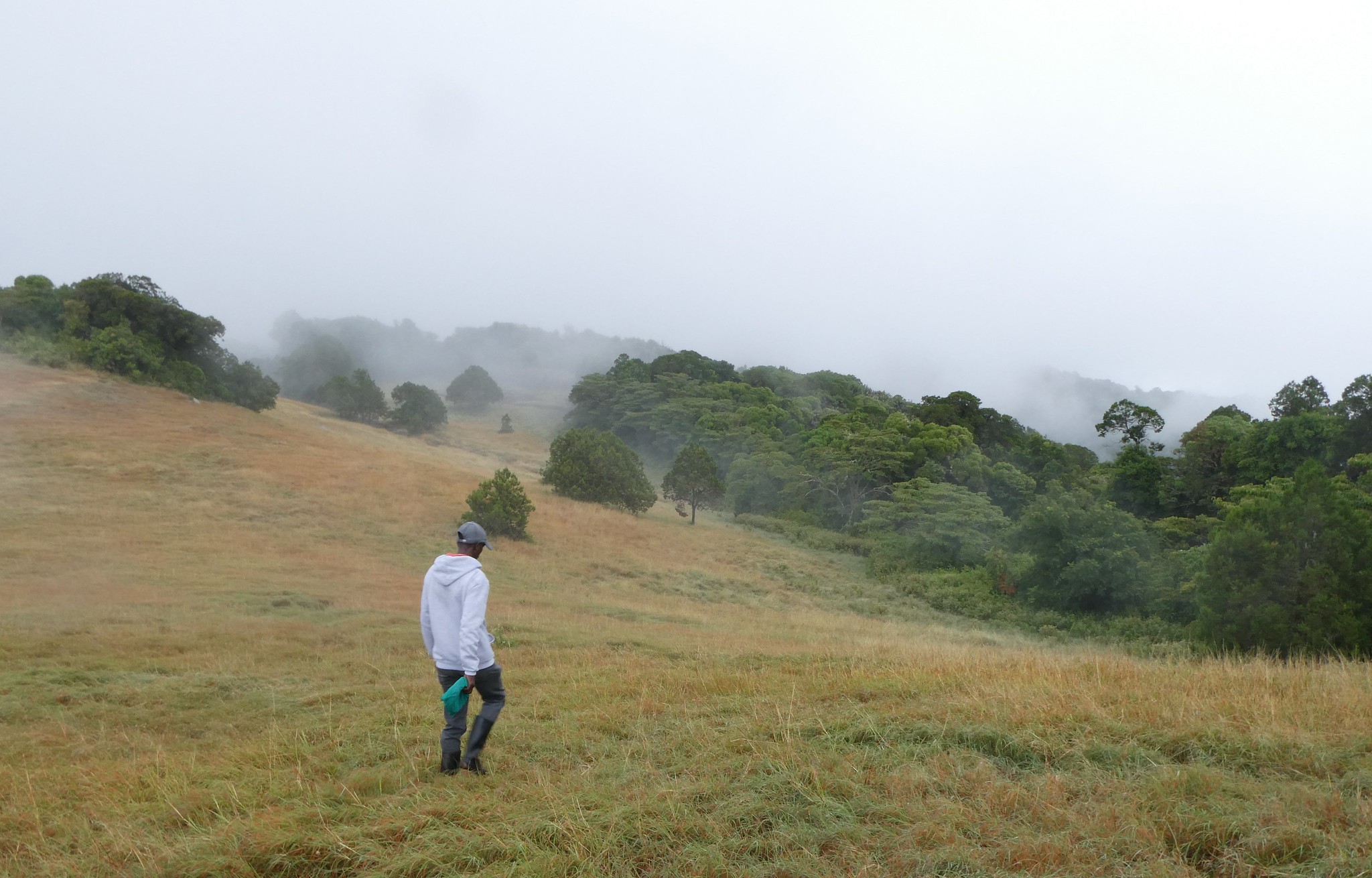 Shukri, one of the members of the community forest association in Mount Kulal, showing the surrounding landscapes.