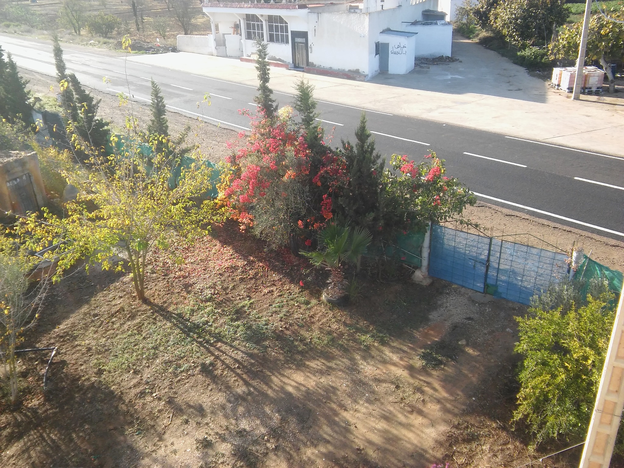 association_alamal_developpement_de_la_femme_maroc_alhoceima