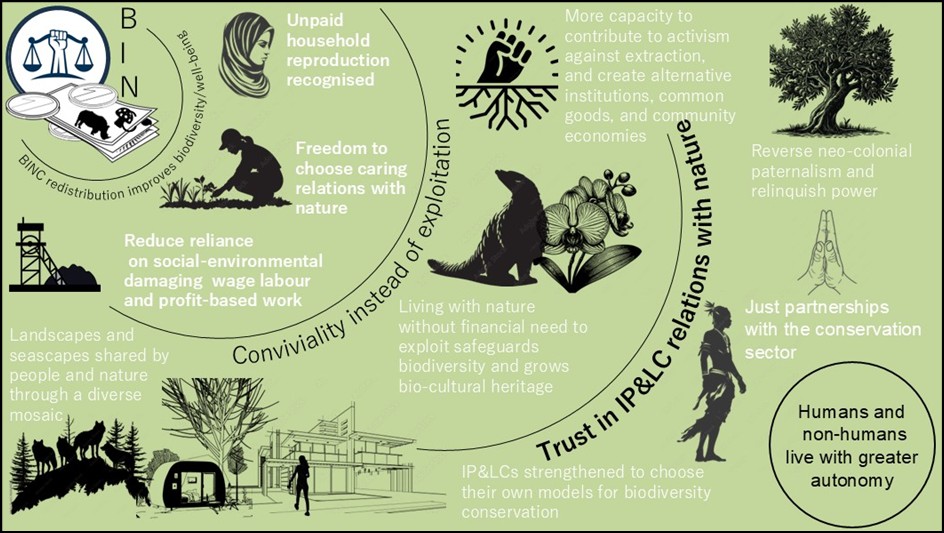 BINC Theory of Change