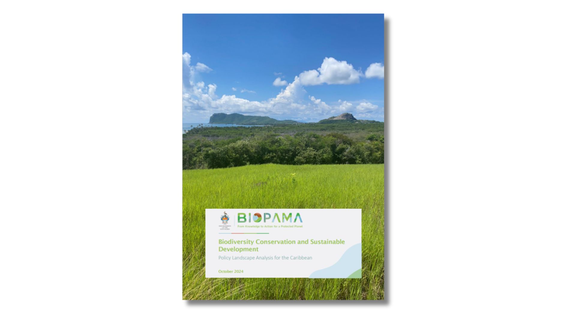 Biodiversity Conservation and Sustainable  Development Policy Landscape Analysis for the Caribbean