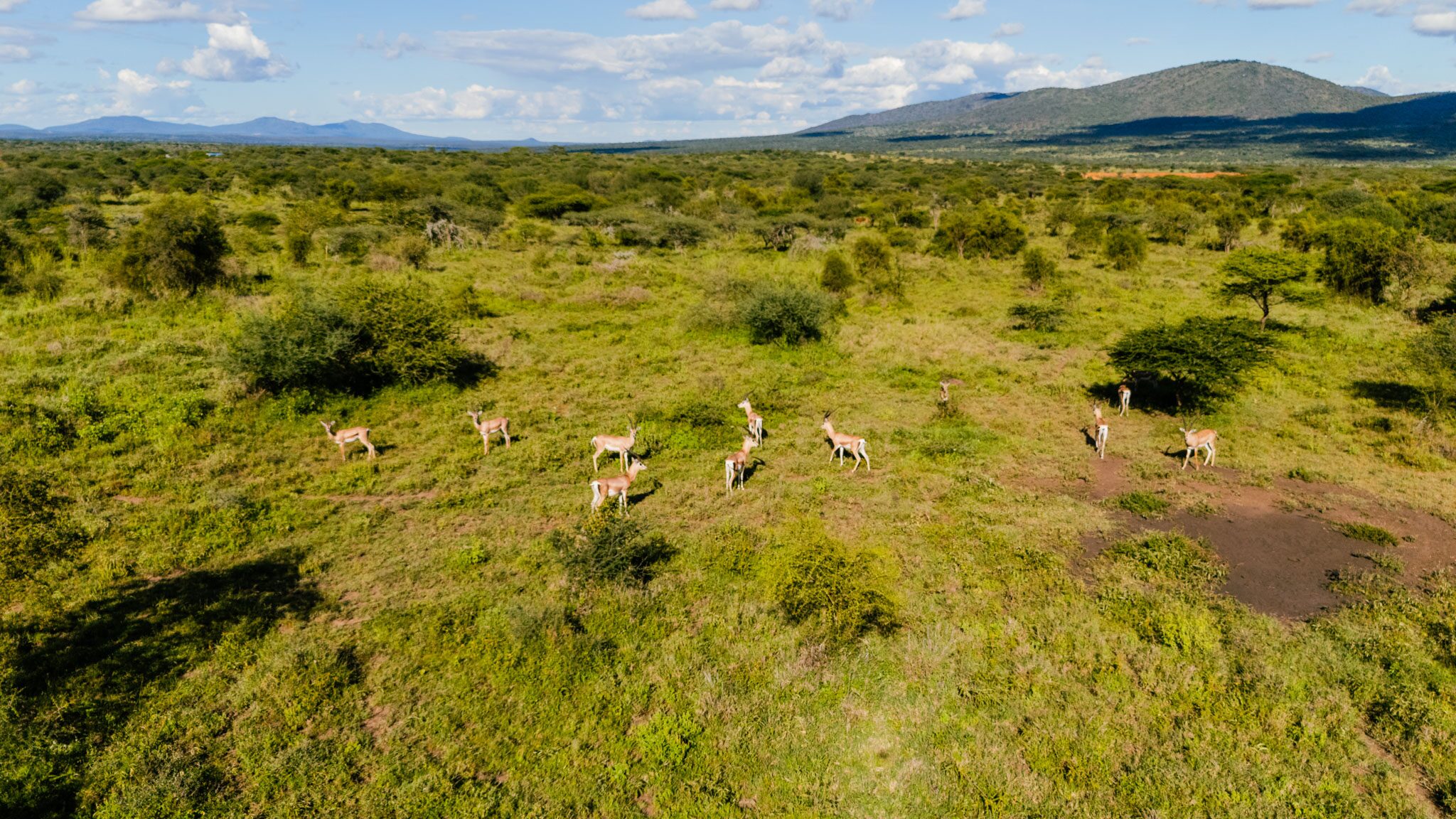 semi arid land in Kajiado