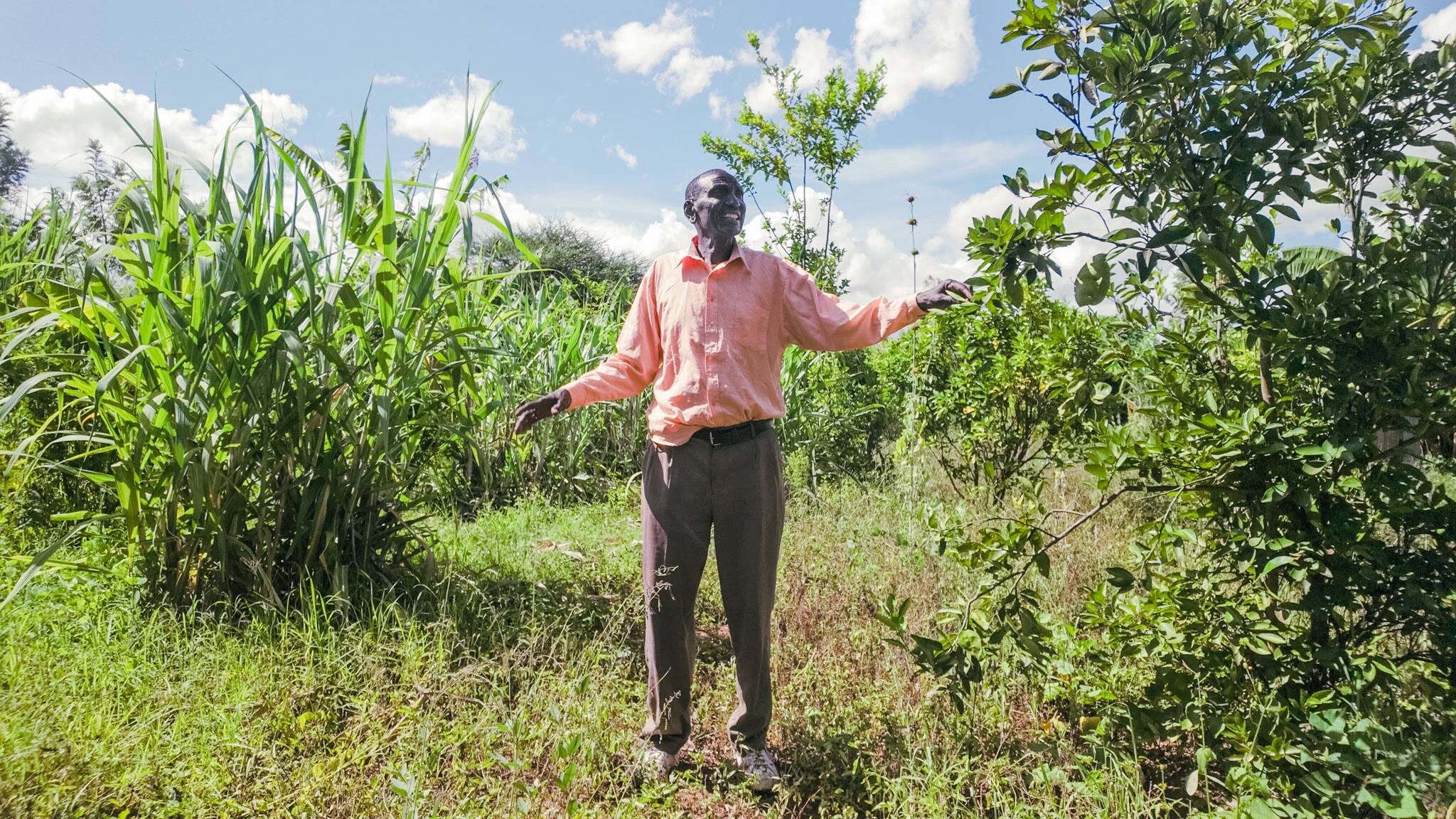 A man in his farm