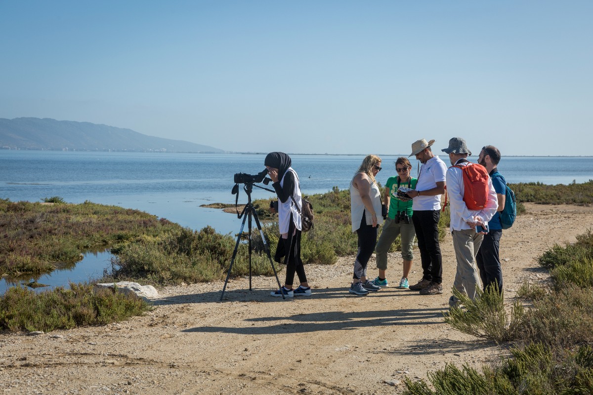 Conservation activity Tunisia Ecotourism experience 