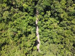 Amazon rainforest Brazil