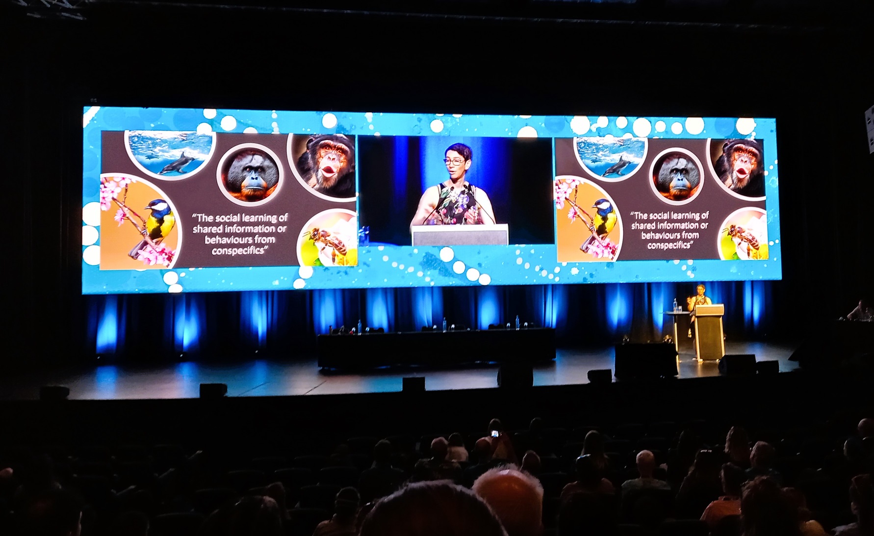 Ellen Garland Presents at the 25th Biennial Conference of the Society of Marine Mammalogy,