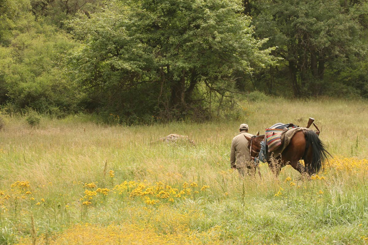 Rangers of the Golestan National Park 