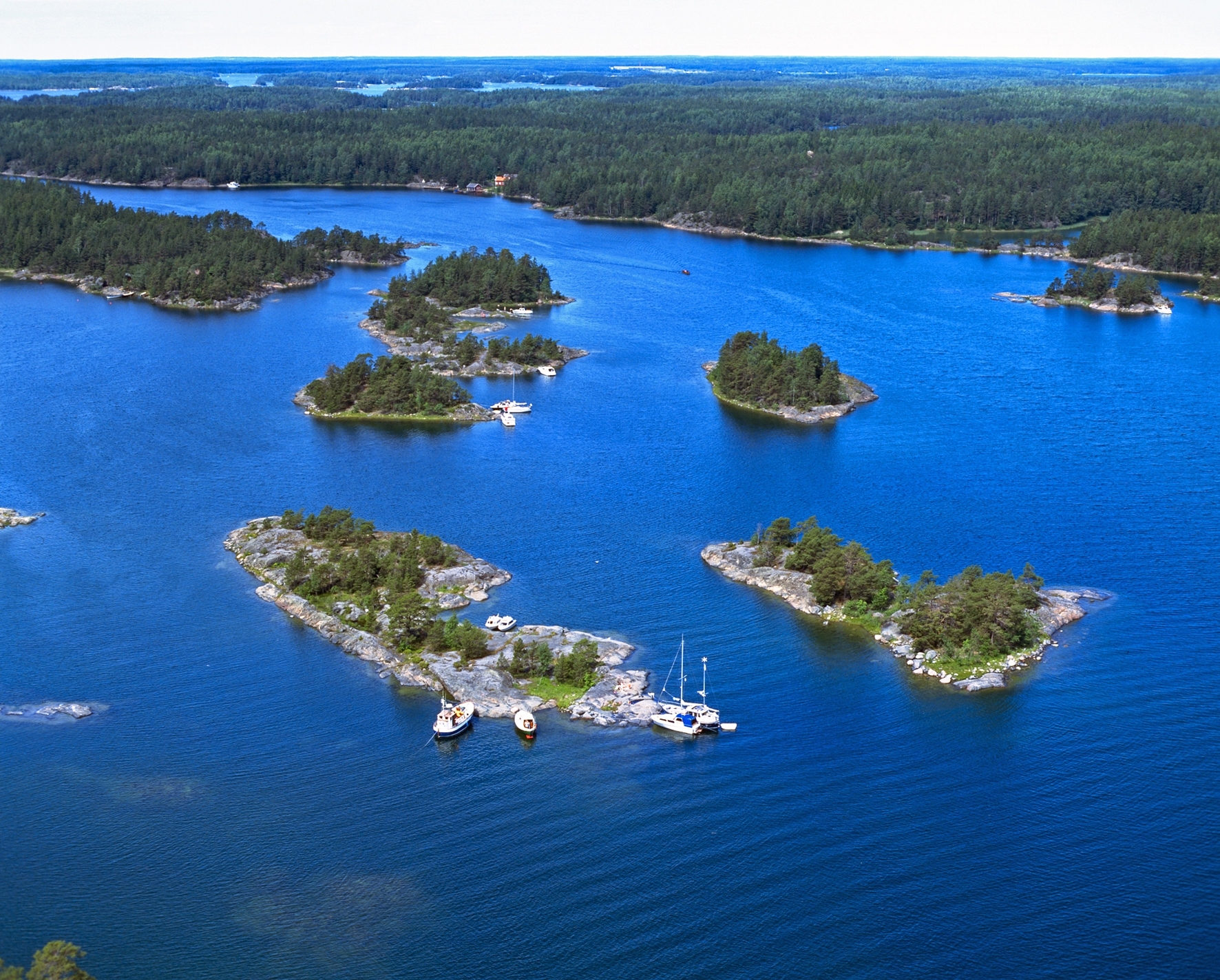 The marine habitat of Tammisaari Archipelago National Park on Finland’s southern coast has been surveyd in the national underwater biodiversity programme Velmu