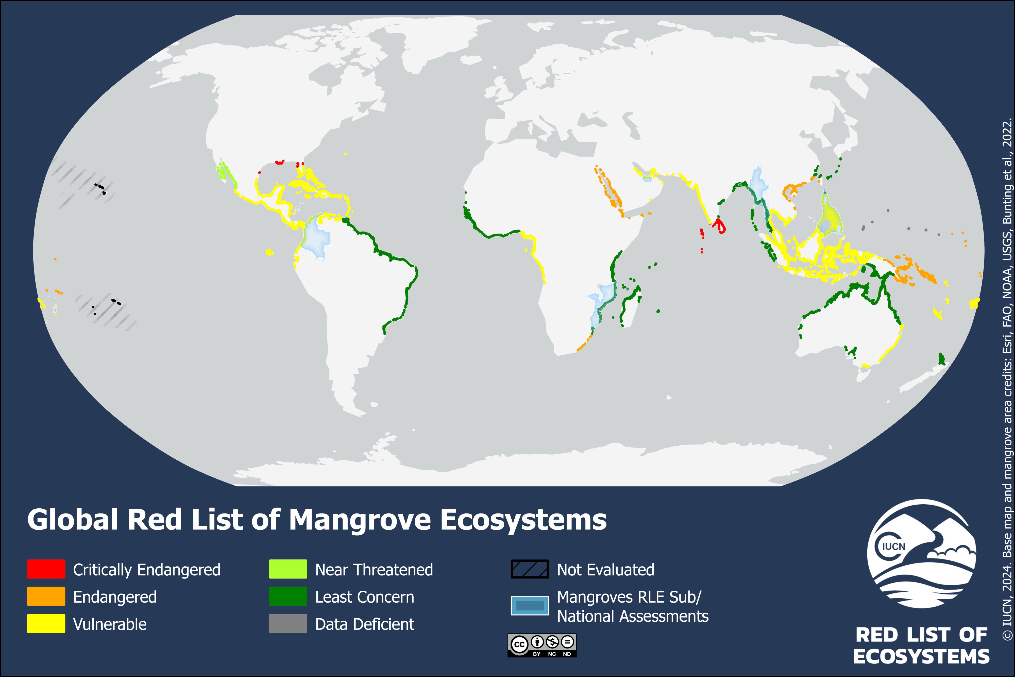 rle global map