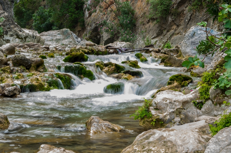 Spring of fresh water at Talassemtane National Park, Morocco