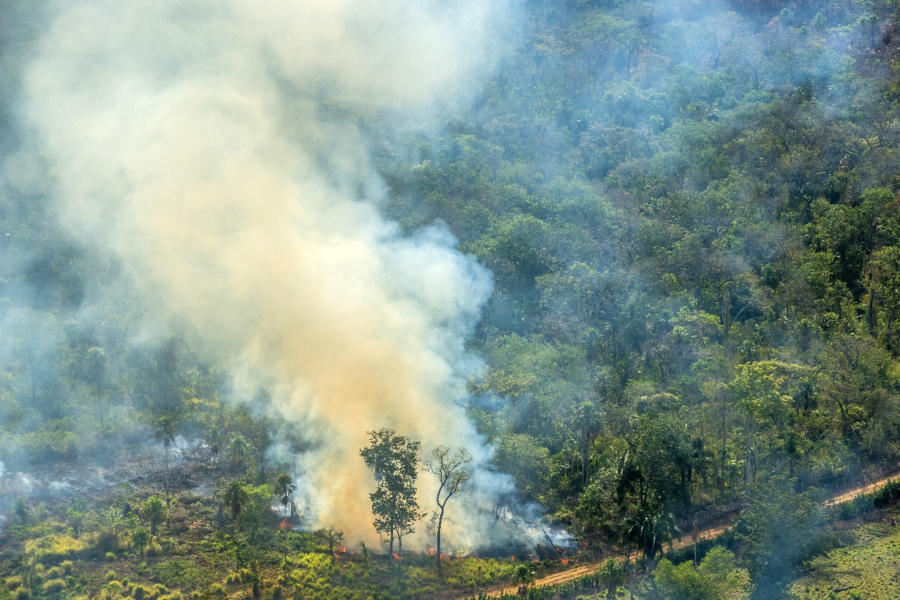 Incendio forestal en Guatemala