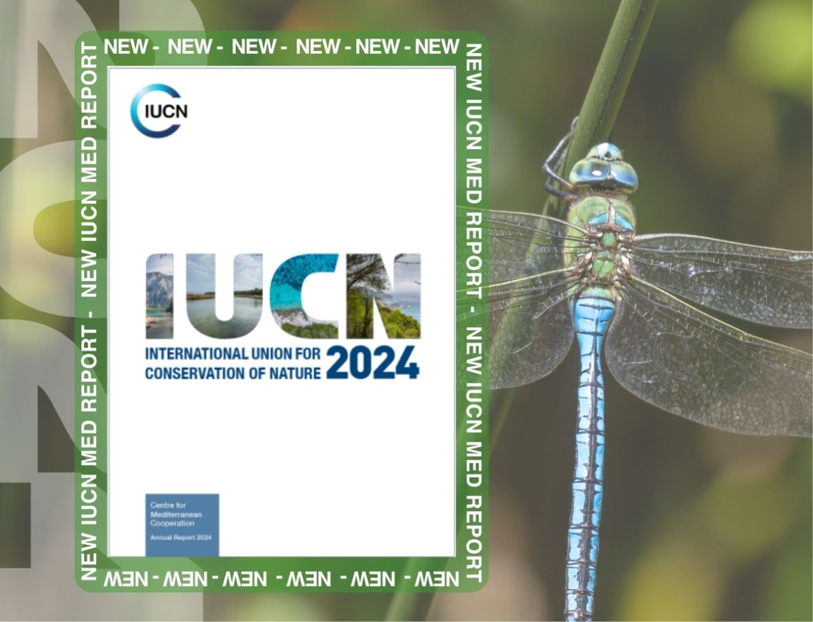 Background picture of a Blue Emperor Dragonfly. Over it a picture of the IUCN Med 2024 annual report cover surrounded by green with lettering saying "NEW IUCN MED REPORT". 2024 appear translucent behind the report along the left side of the visual