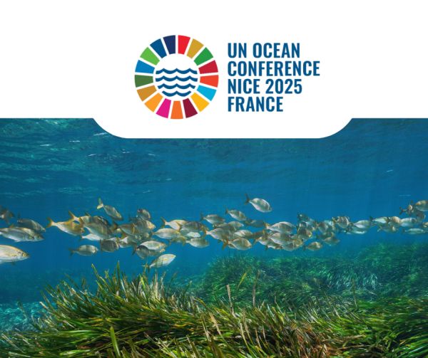 The Mediterranean at UNOC 3