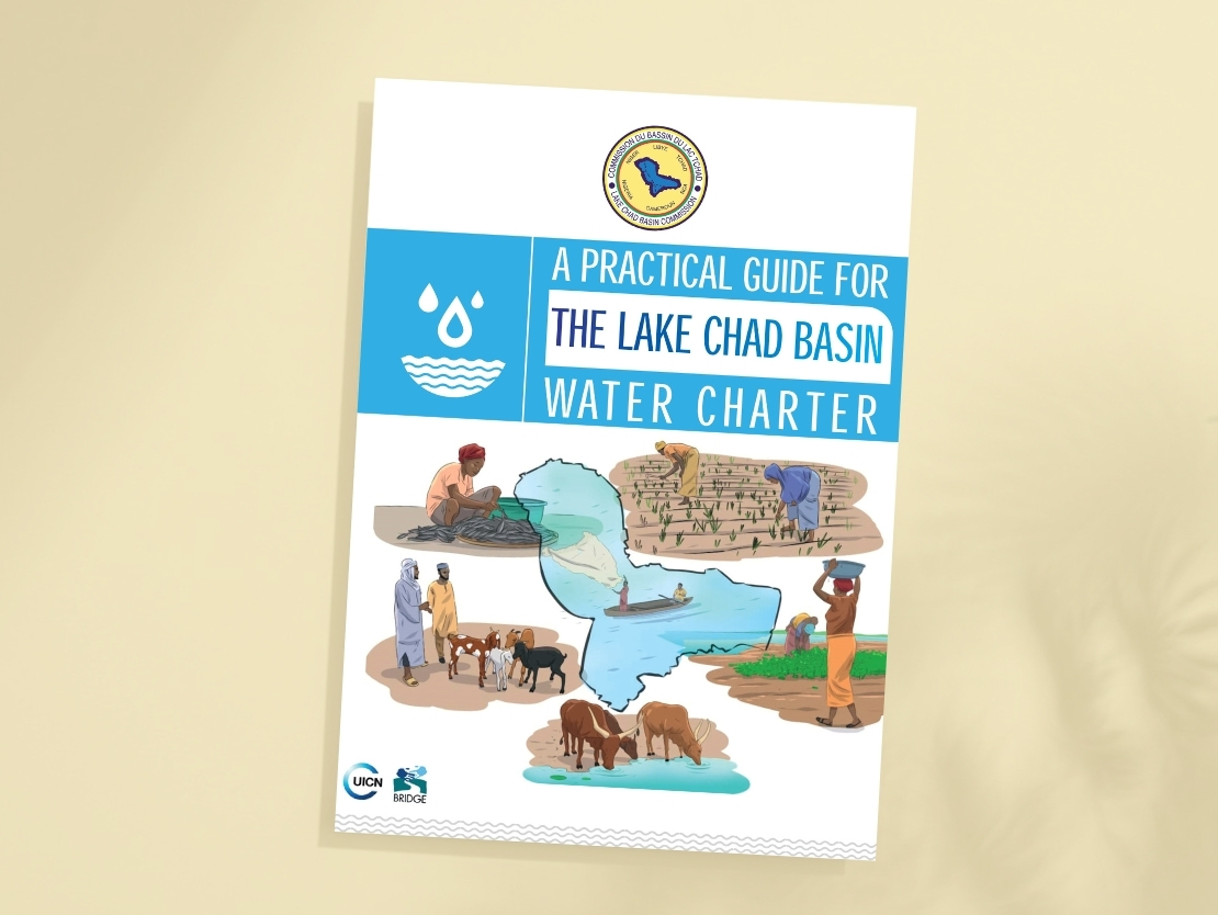 Lake Chad Guide
