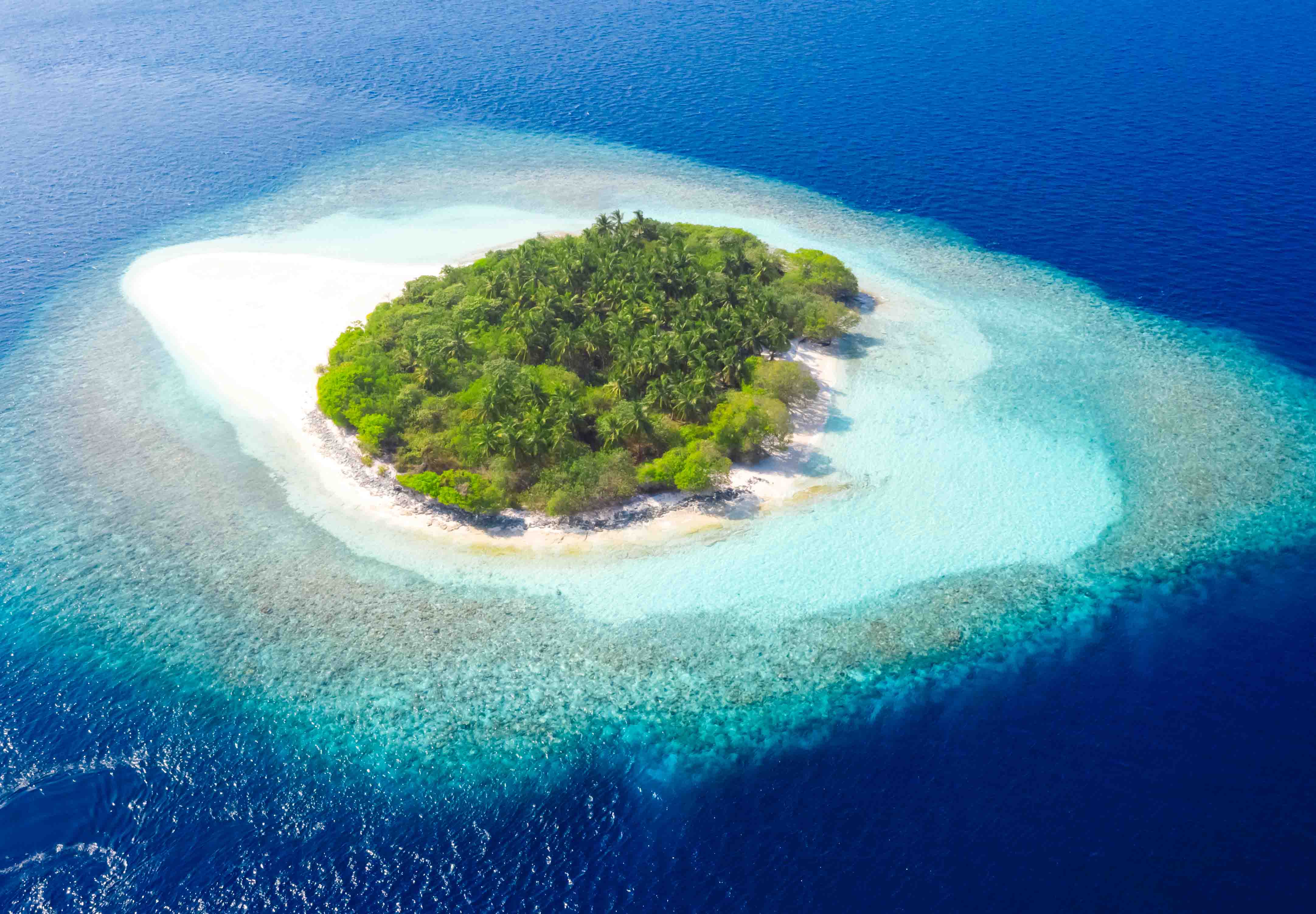 tropical island