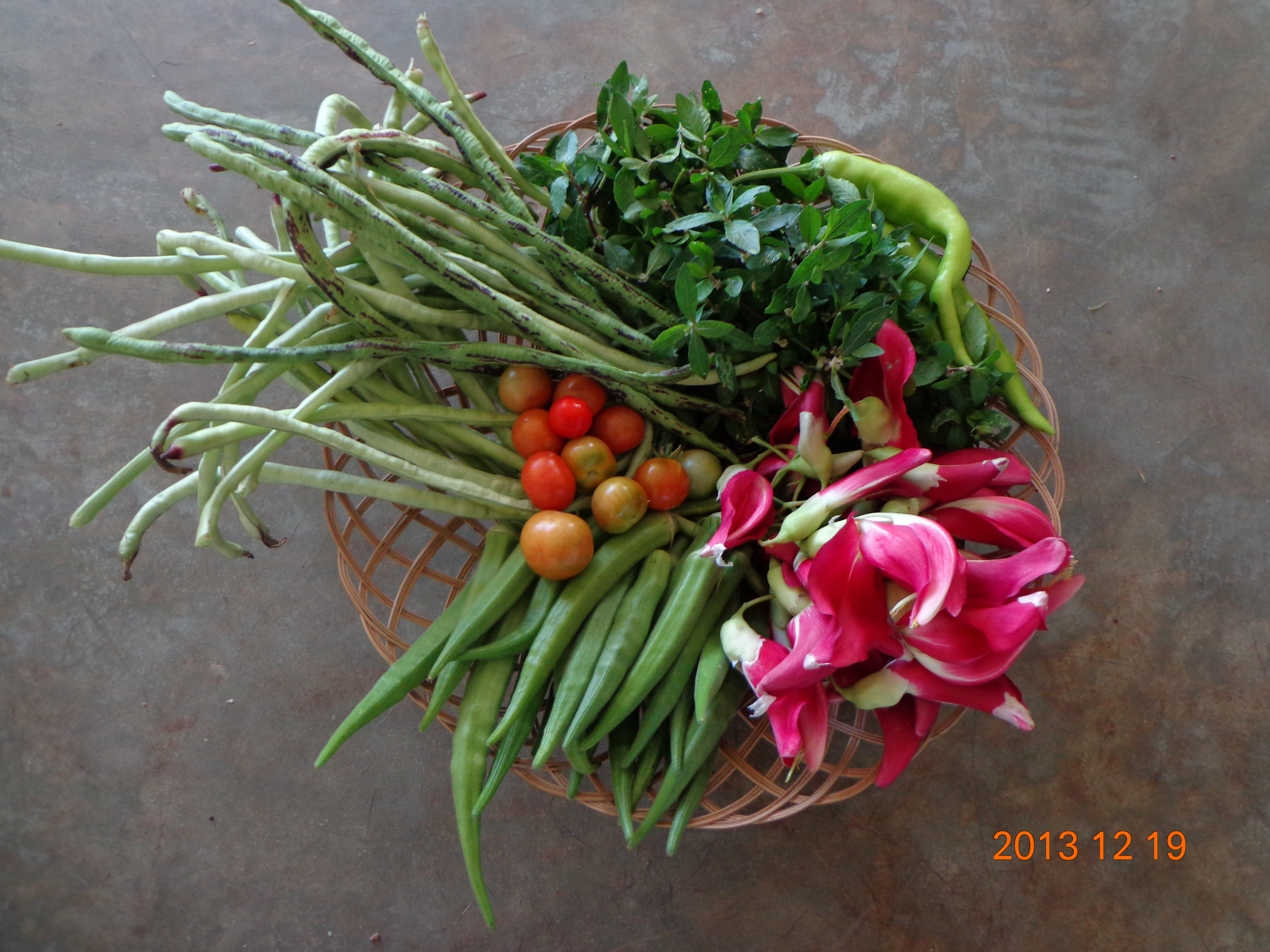 An Urban Garden for all - Colombo