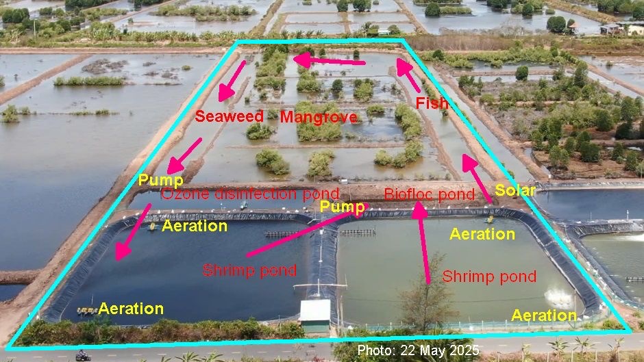 RAS model diagram 