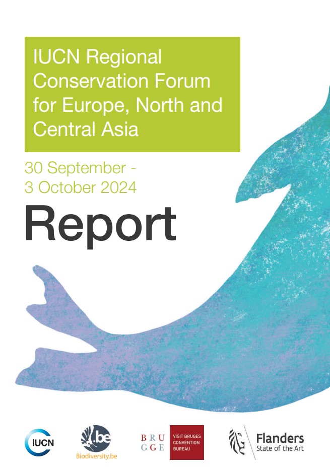 RCF report
