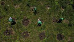 Reforestamos