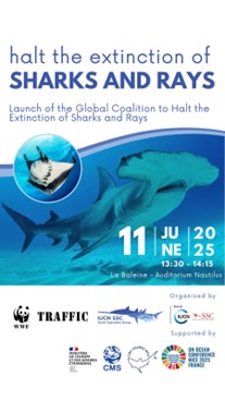 event shark UNOC3