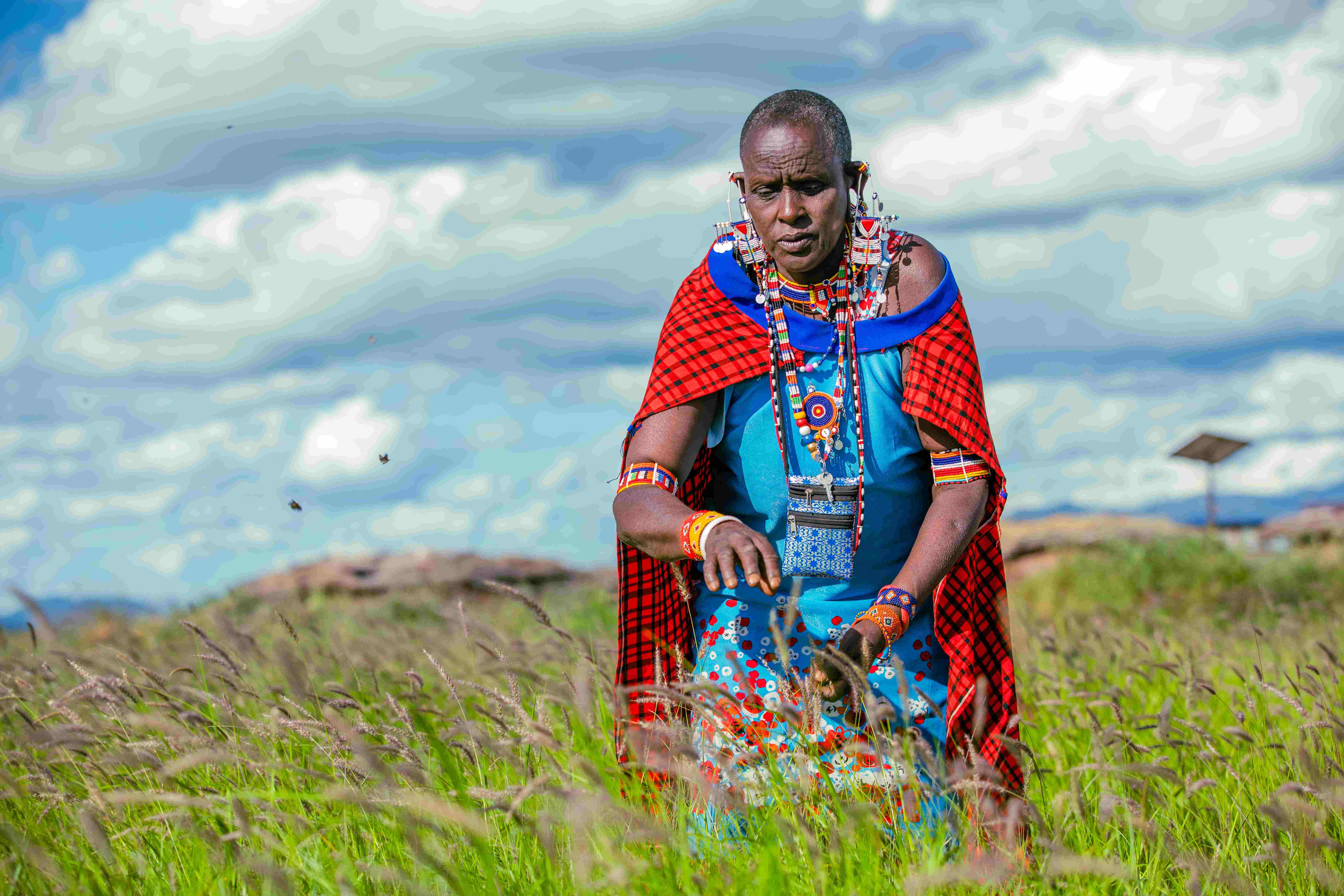 Maasai woman in her farmland