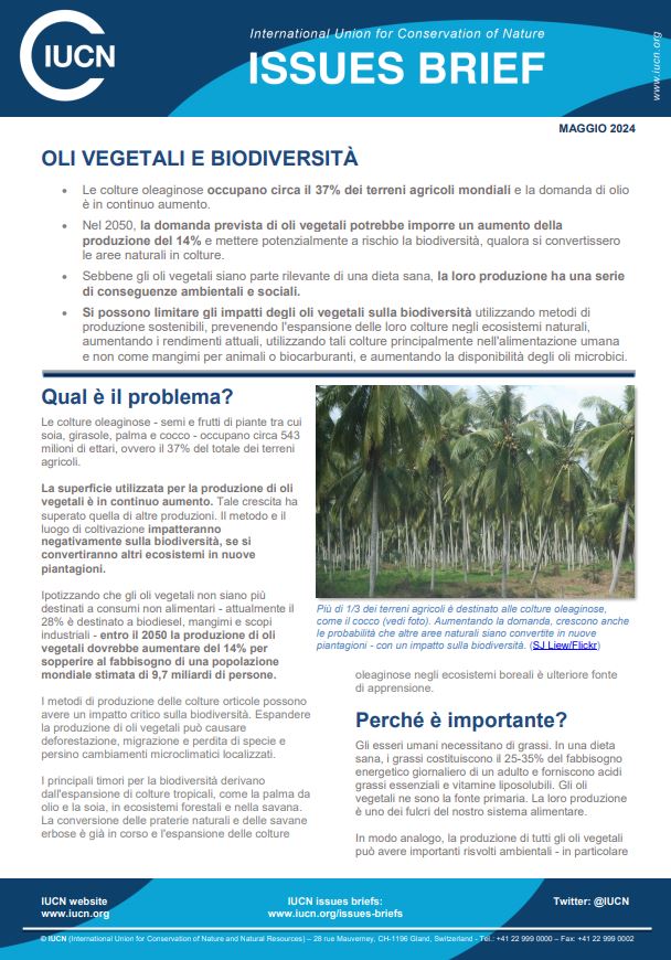 Vegetable oils IB thumbnail - Italian