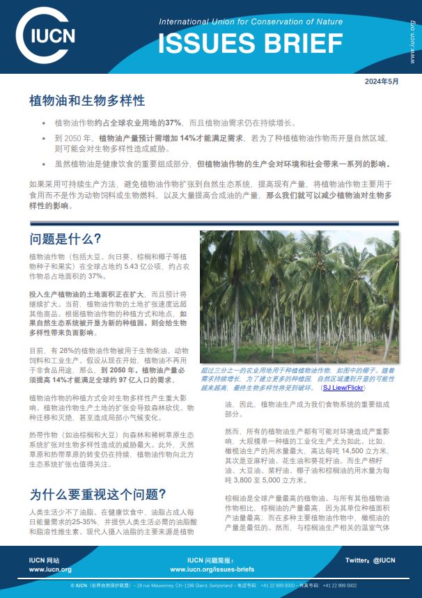 Vegetable oils IB thumbnail - Mandarin