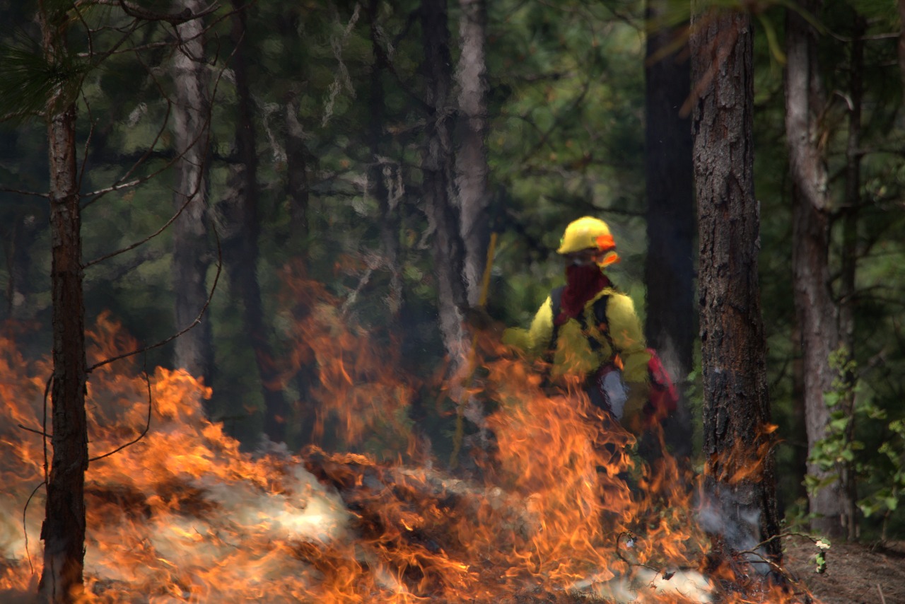 Incendio Forestal