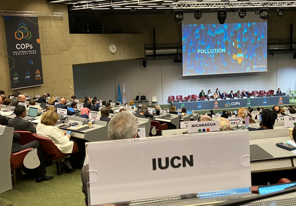 BRS COPS image plenary