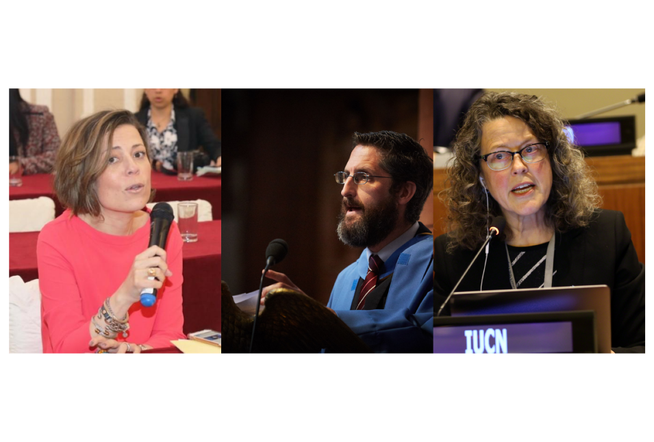 IUCN WCEL NR Awardees 2025