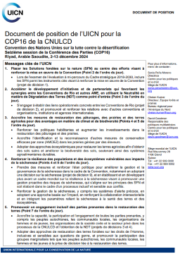 UNCCD-COP16-positionpaper-thumb