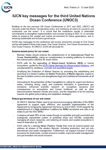 cover page of the policy brief on UNOC key messages