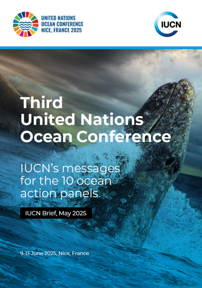 cover page of the policy brief for UNOC3