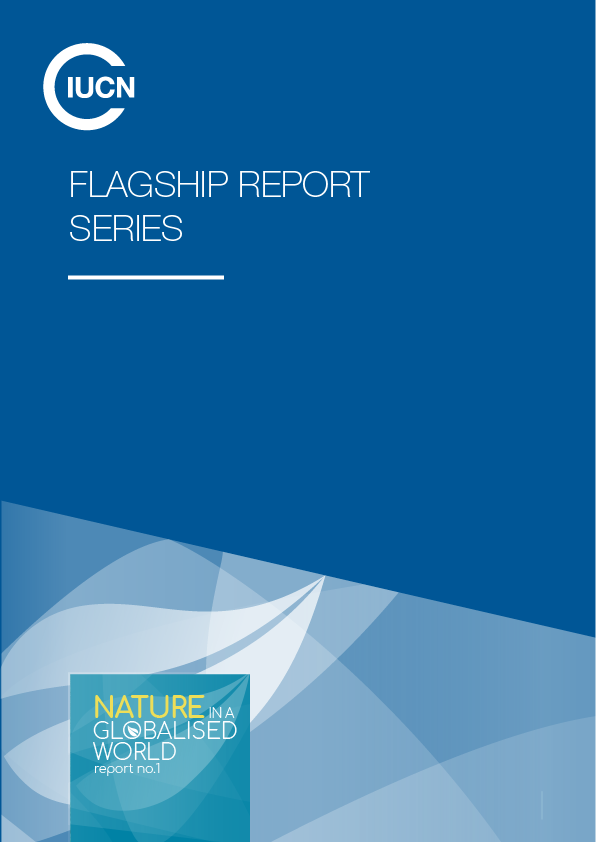 flagship reports thumbnail
