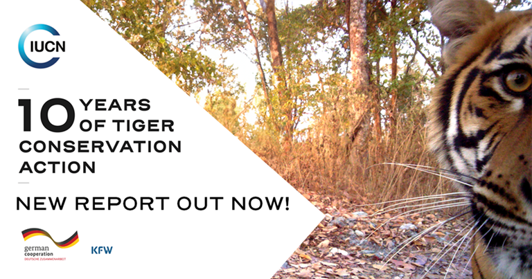 10 Years of Tiger Conservation Action report