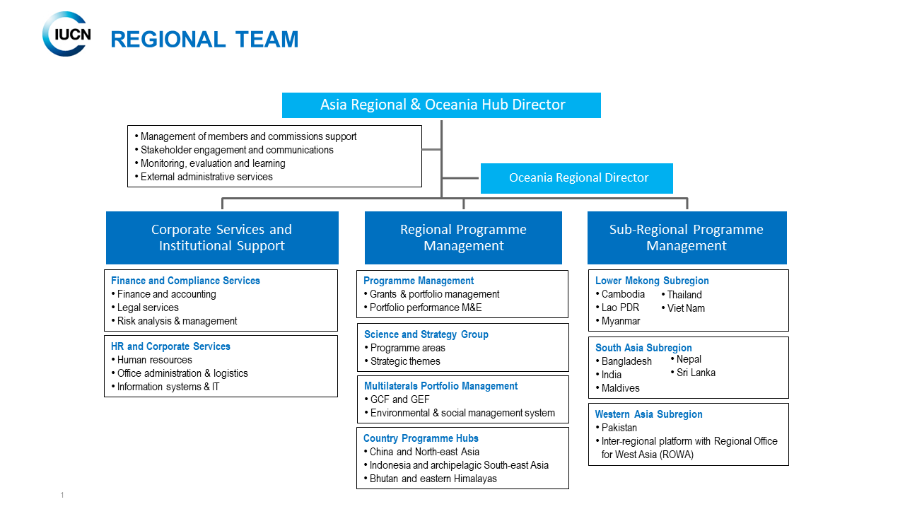 IUCN Asia organogram 2024
