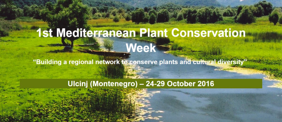 Med plant week