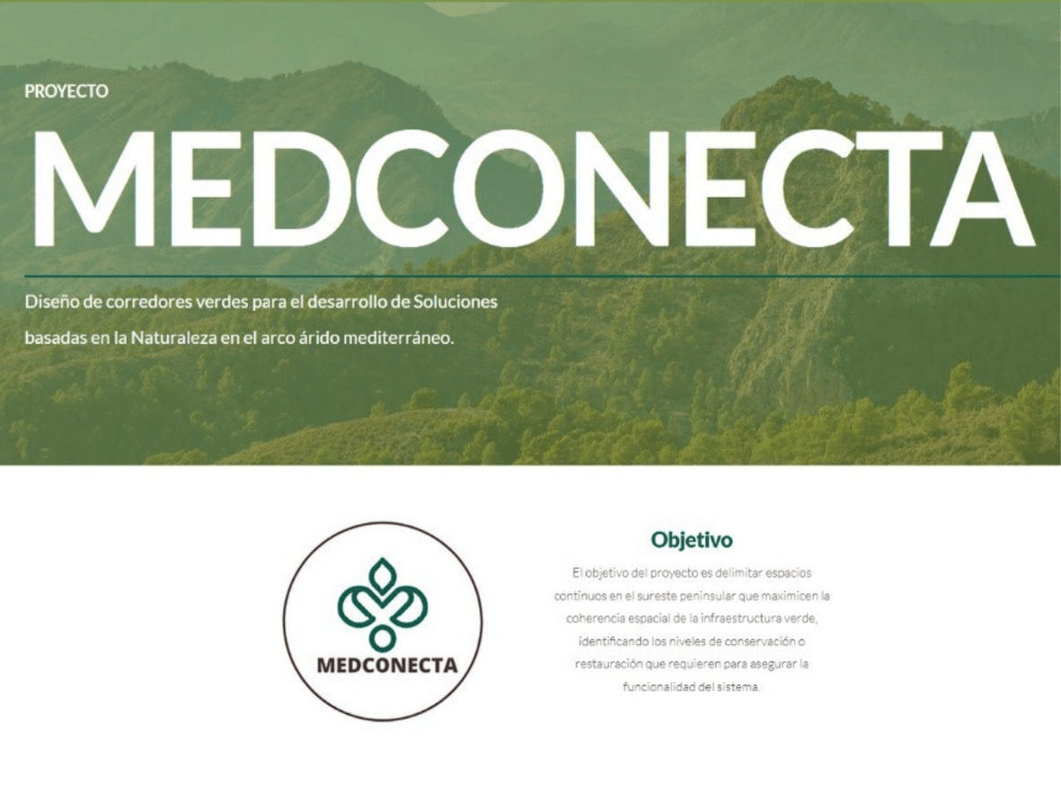 MedConecta website landing page
