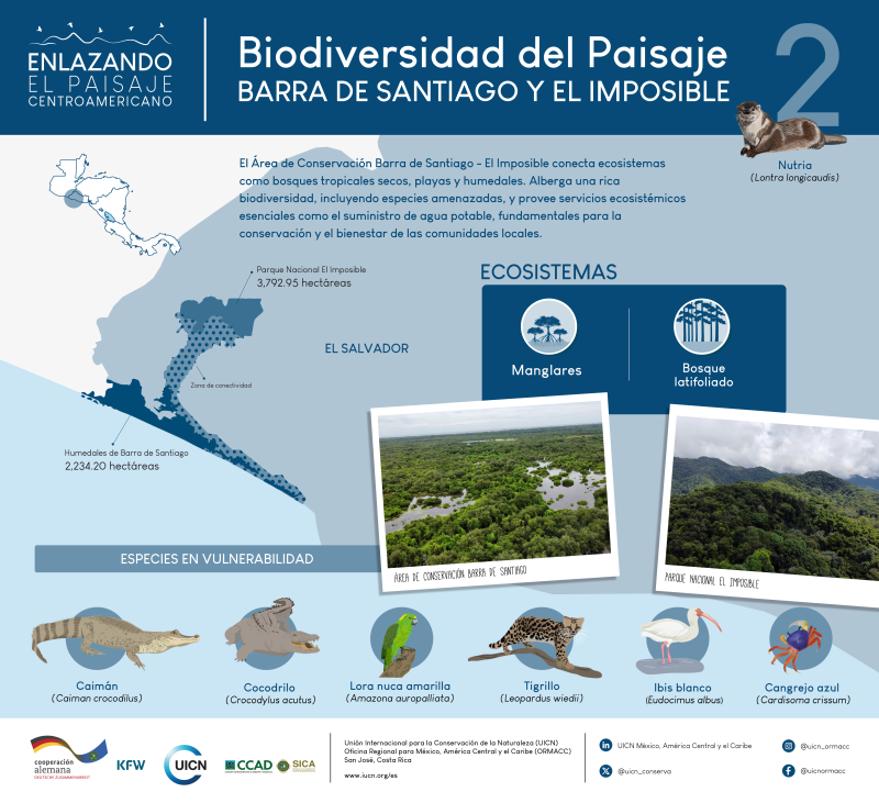 Biodiversidad del Paisaje Barra de Santiago y El Imposible.