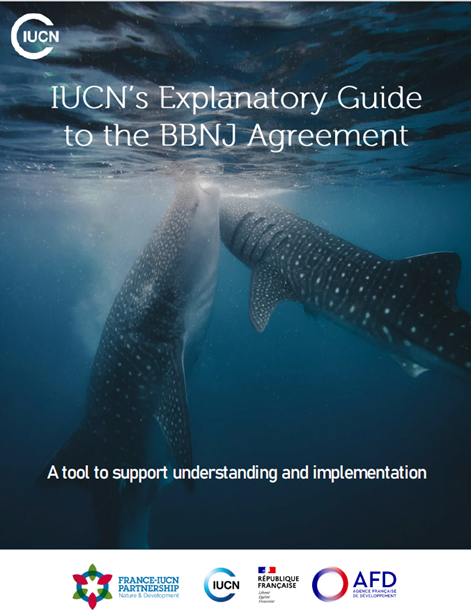 Cover of the factsheet for the IUCN's explanatory guide to the BBNJ treaty