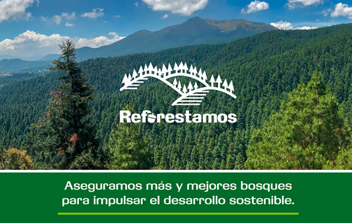Logo and slogan for Reforestamos México