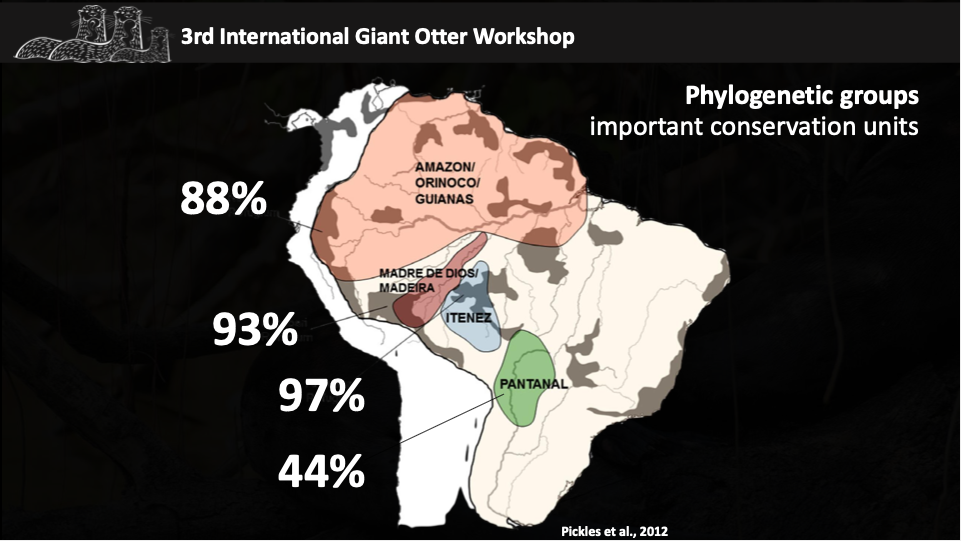 Giant Otter Workshop 2025
