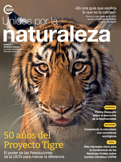 Magazine Image SP