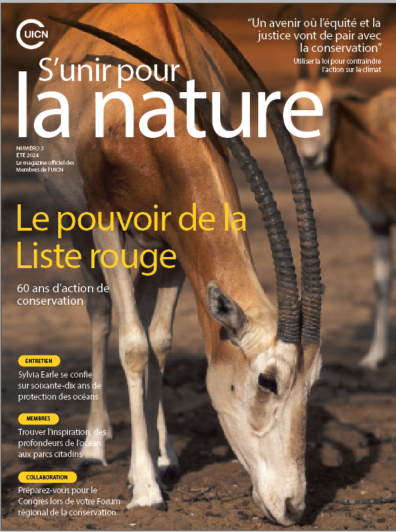 Member Mag 4