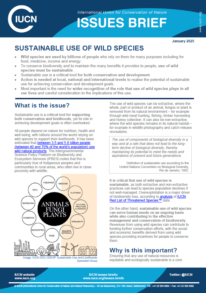 Thumbnail showing first page of IUCN Issues Brief about Sustainable Use of Wild Species
