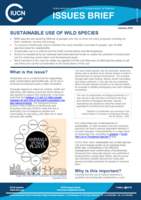 Thumbnail showing first page of IUCN Issues Brief about Sustainable Use of Wild Species