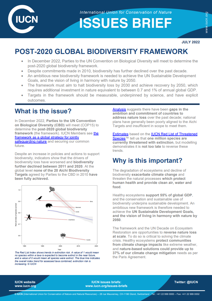 Post-2020 Issues Brief thumbnail