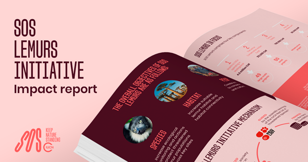 SOS Lemurs initiative impact report
