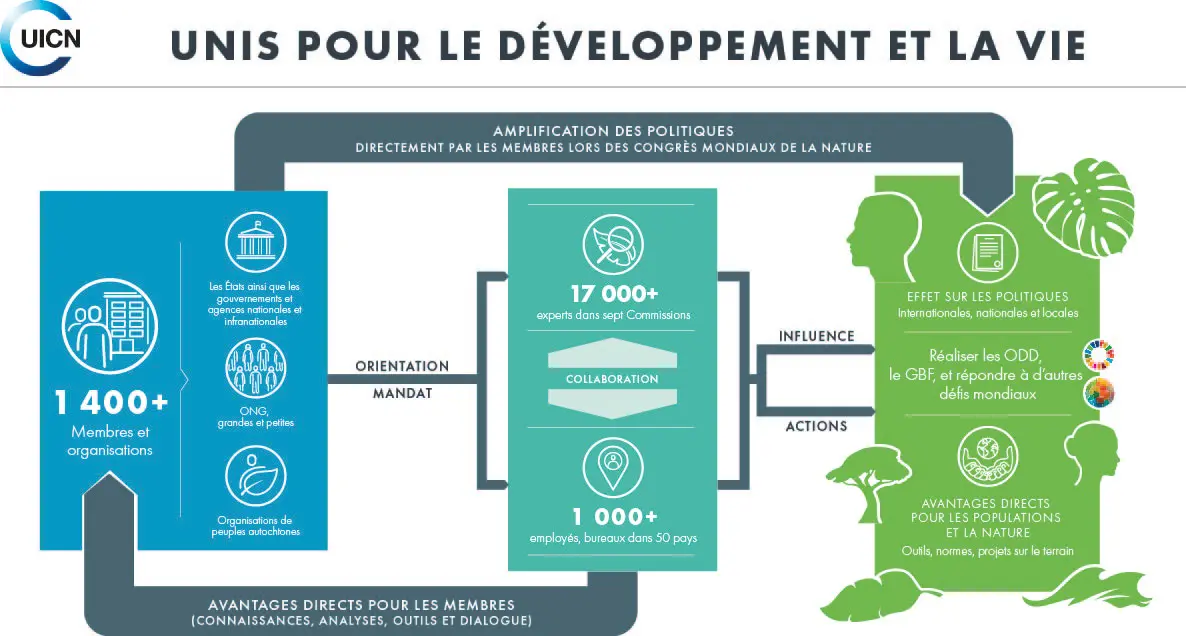 IUCN_Infographic_FRENCH-Dec_2-highres-print_resized